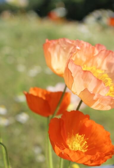 オフの⽇の過ごし⽅